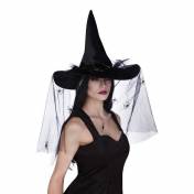 Chapeau pointu de sorcière de couleur avec voile noir