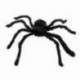 Grosse araignée noire d'environ 40 cm de diamètre