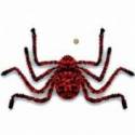 Grosse araignée bicolore avec une toile d'araignée