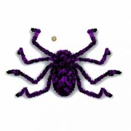 Grosse araignée bicolore avec une toile d&#039;araignée