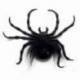 Grosse araignée de 20 cm avec une toile d'araignée