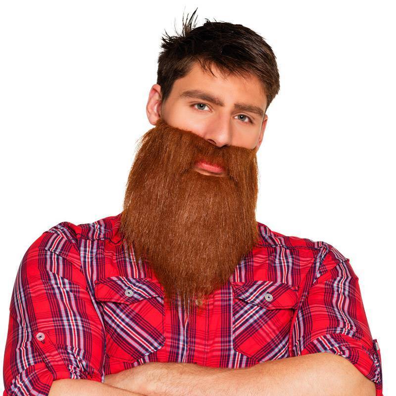 Barbe chatain de hipster