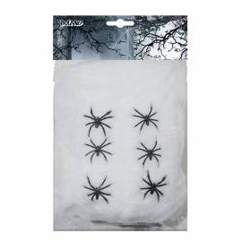 Toile d'araignée blanche avec 6 petites araignées noires
