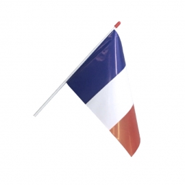 Drapeau France à agiter 20 x 30 cm plastique