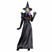 Costume sorcière raven